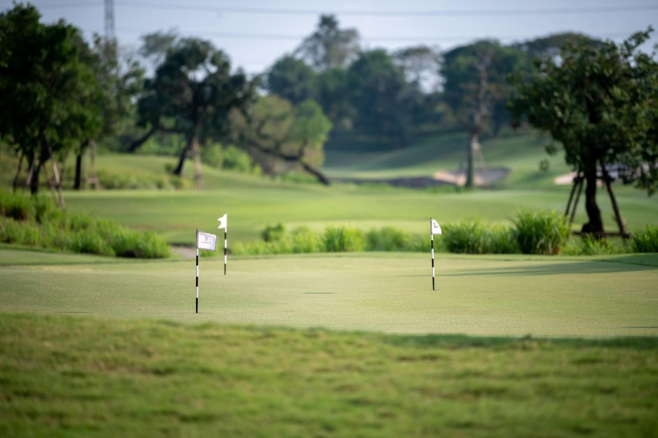 Nikanti-Putting Practice